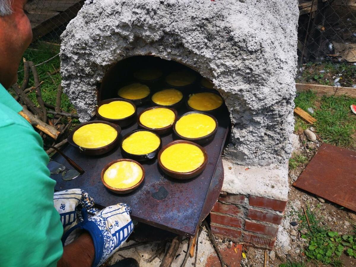 Molina, Cerca De 7 Tazas, Campo Con Animales Y Piscina Desmontable Villa Curico Exterior photo