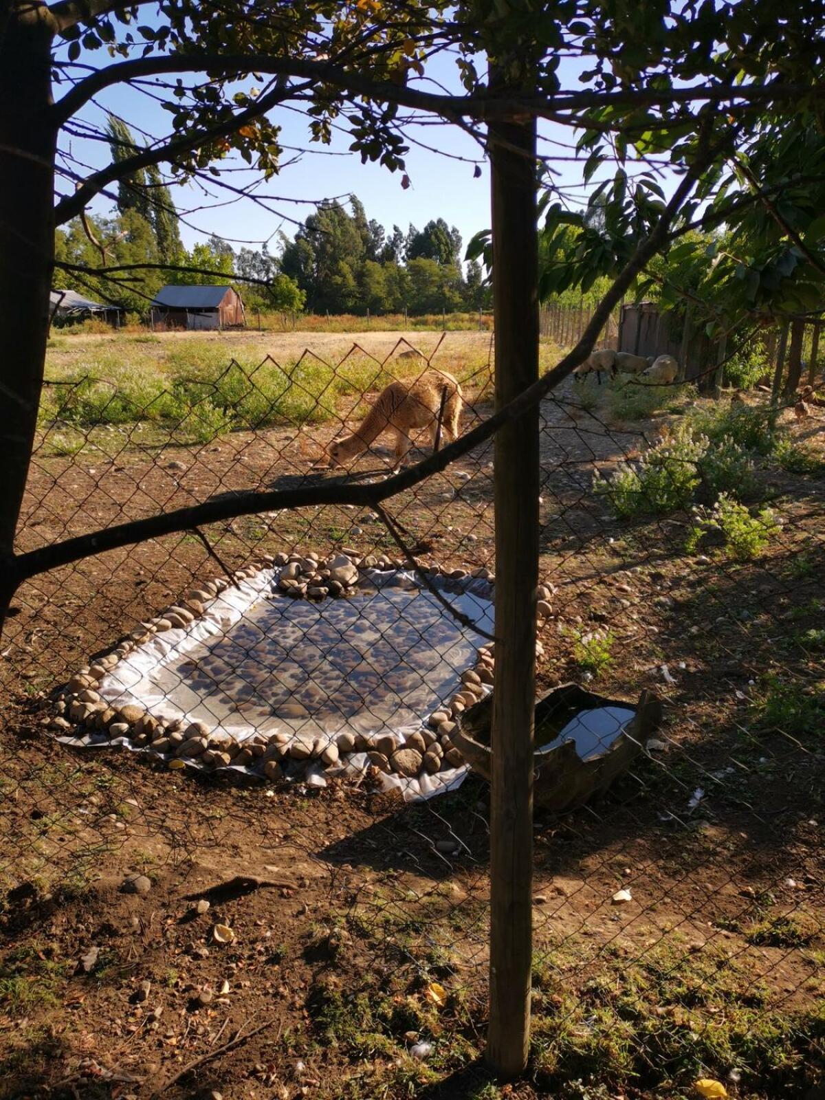 Molina, Cerca De 7 Tazas, Campo Con Animales Y Piscina Desmontable Villa Curico Exterior photo