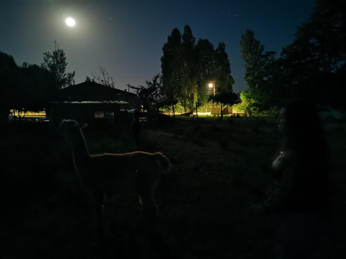 Molina, Cerca De 7 Tazas, Campo Con Animales Y Piscina Desmontable Villa Curico Exterior photo