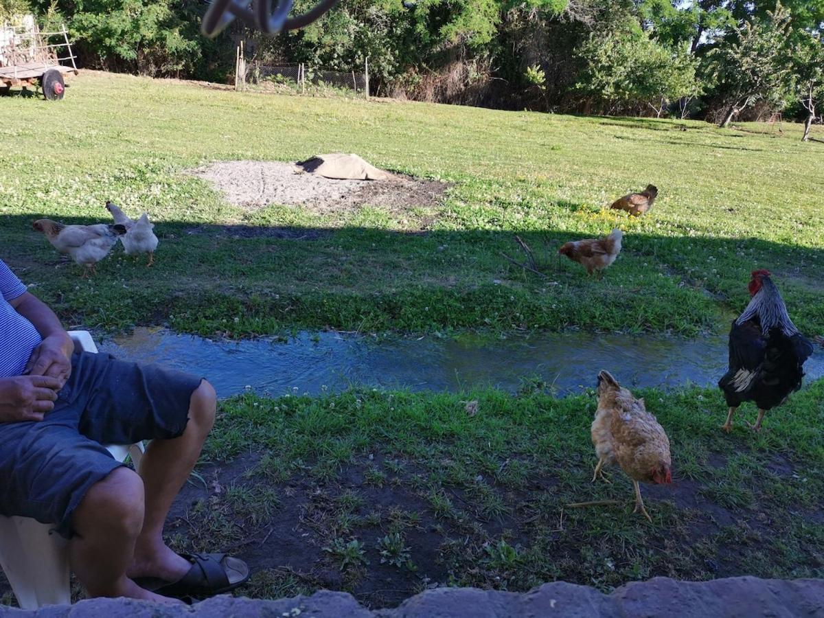 Molina, Cerca De 7 Tazas, Campo Con Animales Y Piscina Desmontable Villa Curico Exterior photo