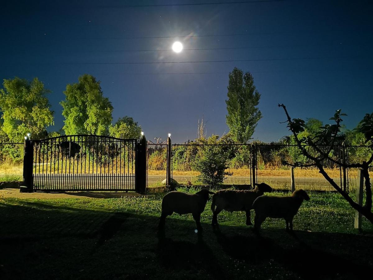 Molina, Cerca De 7 Tazas, Campo Con Animales Y Piscina Desmontable Villa Curico Exterior photo