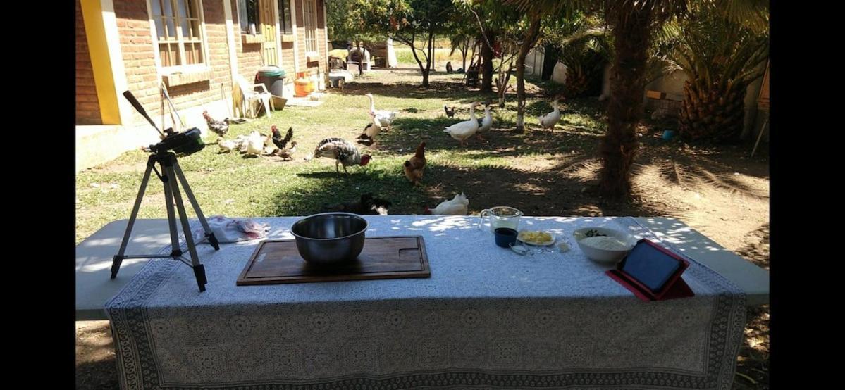 Molina, Cerca De 7 Tazas, Campo Con Animales Y Piscina Desmontable Villa Curico Exterior photo